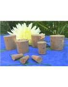 Bouchon conique liège